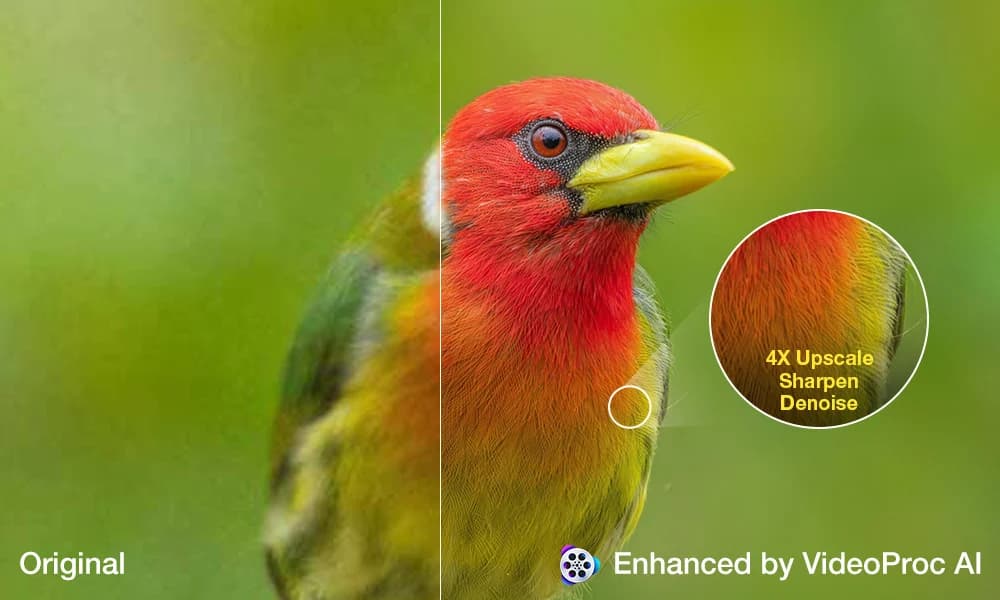 Enhance Old, Low-Quality Footage and Photos: An All-in-One Workflow with VideoProc